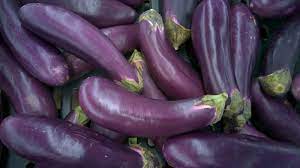 Big Ideas for the Smallest Eggplants