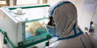 Côte d’Ivoire confirms first Ebola case in 25 years