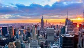 New York City Shop the City Guide