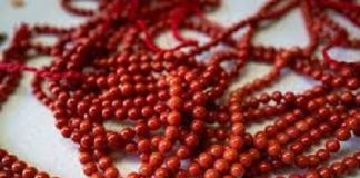 The Red Coral Capital of Italy is Struggling with a Warming Sea.