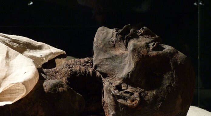 Egyptian Pharaoh’s Mummy ‘Digitally Unwrapped’ After 3,500 Years Egyptian Pharaoh’s Mummy 'Digitally Unwrapped’ After 3,500 Years