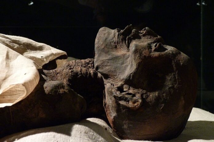 Egyptian Pharaoh’s Mummy 'Digitally Unwrapped’ After 3,500 Years