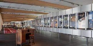 Swiss Watch Museum Exhibit