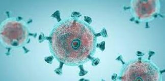 Will Mutations Make the Omicron Vaccine Ineffective?