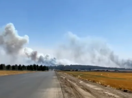 a wildfire and strong winds