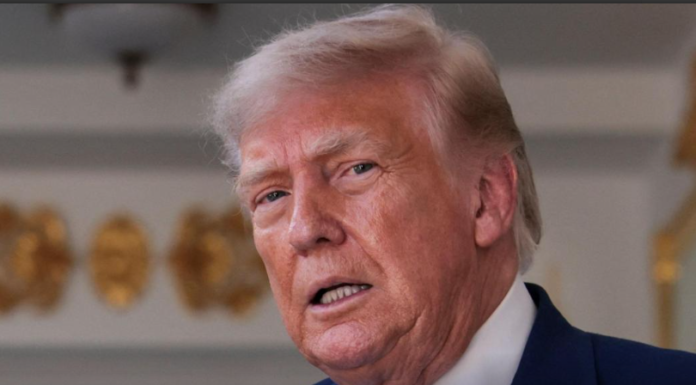 Trump vows to investigate EU over fining of US tech companies Trump vows to investigate EU over fining of US tech companies
