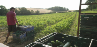 Group’s mission to appreciate every piece of food in South West