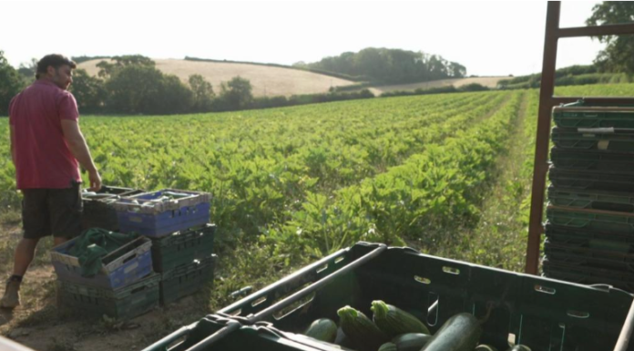 Group’s mission to appreciate every piece of food in South West Group’s mission to appreciate every piece of food in South West